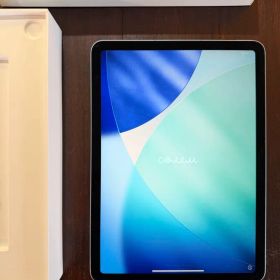 Wi-Fi+Cellular【iPad Air (M3)11インチ】128GB