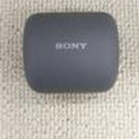 ノイズキャンセリングイヤホン WF-L900/HM SONY