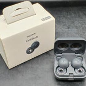 ワイヤレスイヤホン WF-L900 SONY