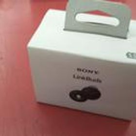 ワイヤレスイヤホン WF-L900 SONY