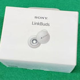ワイヤレスイヤホン WF-L900 SONY