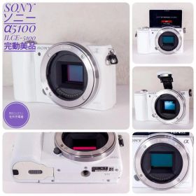 極上完動美品 SONY α5100 ILCE-5100 ホワイト ボディ