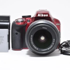 Nikon ニコン D3300 レンズキット レッド デジタル一眼カメラ
