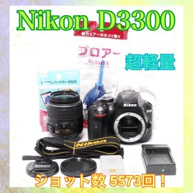 ショット数少なめ◆Nikon D3300◆Flash Air付き◆一眼レフカメラ