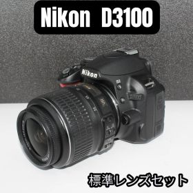 【美品・動作確認済・ショット数5732】Nikon D3100標準レンズセット