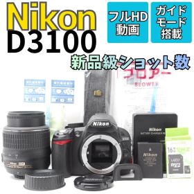 【新品級ショット数】Nikon D3100 美品 スマホ転送 動画撮影対応
