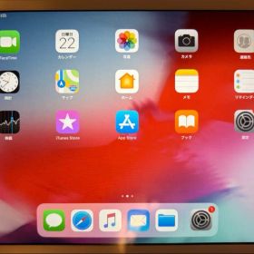 Apple iPad mini 2 シルバー