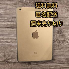 早いもの勝ち【動作正常】Apple iPad mini 第2世代 シルバー 本体