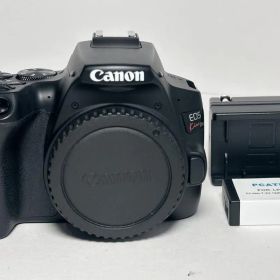 極上品 キヤノン EOS Kiss X10 ボディ ブラック