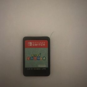 あつまれ どうぶつの森 Nintendo Switch