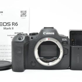 【取説付き】 CANON キャノン EOS R6 MarkII ミラーレスカメラ
