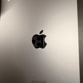 Apple iPad mini 本体