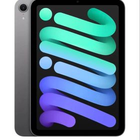 iPad mini (第7世代) スペースグレー