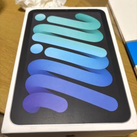 【掲載本日まで】iPad mini (A17 Pro) Wi-Fi 512GB