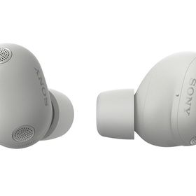 WF-1000XM6 (S) [プラチナシルバー]