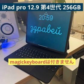 iPad pro 12.9 第4世代 256gb Apple pencil