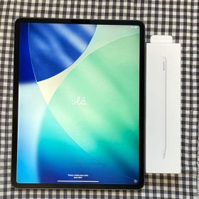 iPad Pro(第4世代) ApplePencil 256GB スペースグレイ