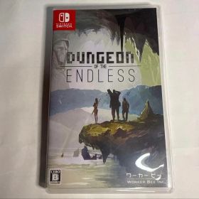 ダンジョン オブ ジ エンドレス Switch版