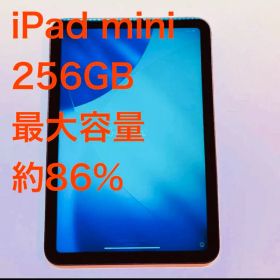iPad mini 第6世代 256GB スペースグレイ 動作良好 初期化済み