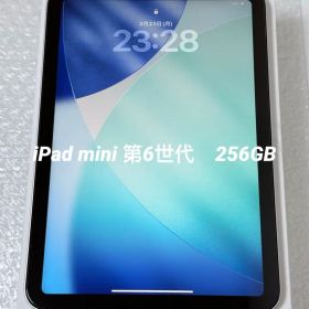 iPad mini 第6世代 256GB Wi-Fi モデル 極美品