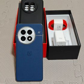 OnePlus 13 24GB+1TB 中国版（SIMフリー・レザーブルー）