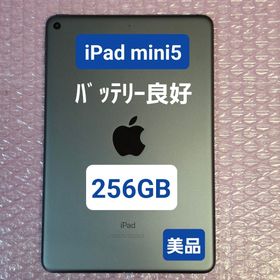 アイパッド(iPad)の美品 iPad mini 第5世代 256GB Wi-Fiモデル(タブレット)