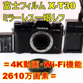 〓Wi-Fi機能〓富士フイルム FUJIFILM X-T30 ボディ ミラーレス