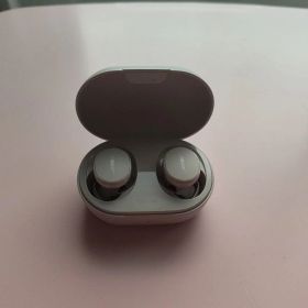 BOSE QuietComfort Earbuds 箱無し