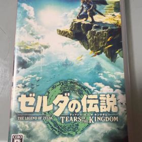 ゼルダの伝説 ティアーズ オブ ザ キングダム