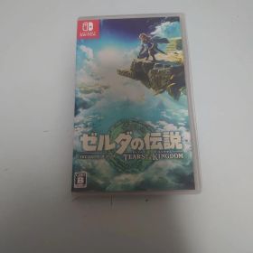 ゼルダの伝説 ティアーズ オブ ザ キングダム