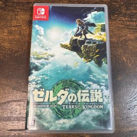 ゼルダの伝説 ティアーズ オブ ザ キングダム