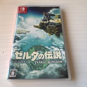 ゼルダの伝説 ティアーズ オブ ザ キングダム