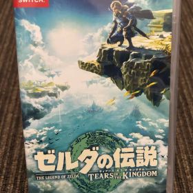 ゼルダの伝説 ティアーズ オブ ザ キングダム