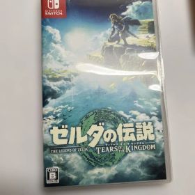 ゼルダの伝説 ティアーズ オブ ザ キングダム Switch