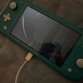 【ジャンク品】Nintendo Switch Lite