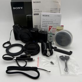 【美品】SONY CyberShot DSC-RX100 初代 豪華オマケ付 ソニー サイバーショット