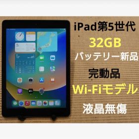 完動品液晶無傷iPad第5世代(A1822)本体32GB送料込5HLF9