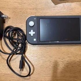 Nintendo Switch Lite グレー 本体 SDカード、充電器付き