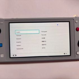 任天堂 Switch lite ザシアン・ザマゼンタ