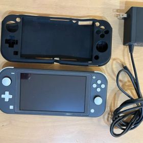 Nintendo Switch Lite グレー 本体 ACアダプター付き