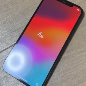 【SIMフリー】iPhone 12 ProMax 256GB【修理歴なし】