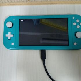 Nintendo Switch Lite ターコイズ 作動可能ジャンク品 箱無し
