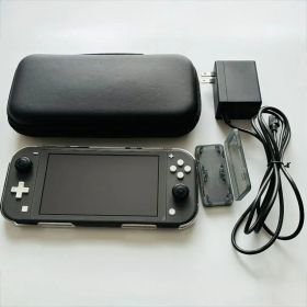 Nintendo Switch Lite 本体 グレー アダプター・保護ケース付