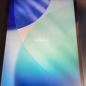 Apple iPad Pro 12.9インチ 第四世代 本体