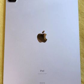 iPad Pro 12.9 第5世代 256GB Wi-Fi 充電器付 輝度ムラ