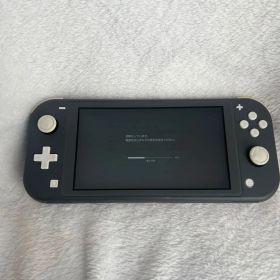 Nintendo Switch Lite グレー 本体 2021年製