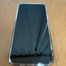 [ケース/フィルム付き]iPhone12 Promax 128gb