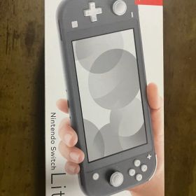 Nintendo Switch Lite グレー 10回程度の使用歴