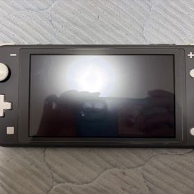 Nintendo Switch Lite グレー 本体
