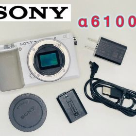SONY α6100 ボディ ミラーレス一眼カメラ ホワイト 白